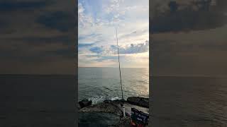 Jersey Shore jetty fishing for spring run striped bass