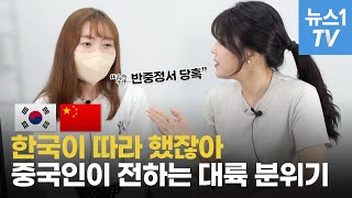 사드·김치 논란·코로나 발원지…한국 사는 중국인이 직접 답했다