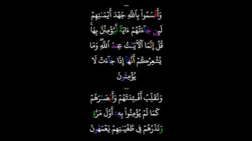 میشاری رشید سوره 006 الانام 109-110