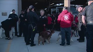 7's HERO: Go Team Therapy dogs visit Caldwell firefighters