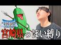 宮崎県民、宮崎っぽいモンスターだけでドラクエをする:part1