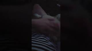 Собака заставляет себя гладить) Собака заставляет себя гладить)