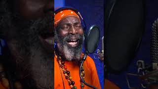 Capleton &amp; Little Lion Sound - Get Up And Fight (Evidence Music)
