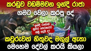 කරඩුව වඩම්මවන ඉන්දි රාජා ගමට වෙලා කරපු දේ | Indi Raja | Kandy Esala Perahera