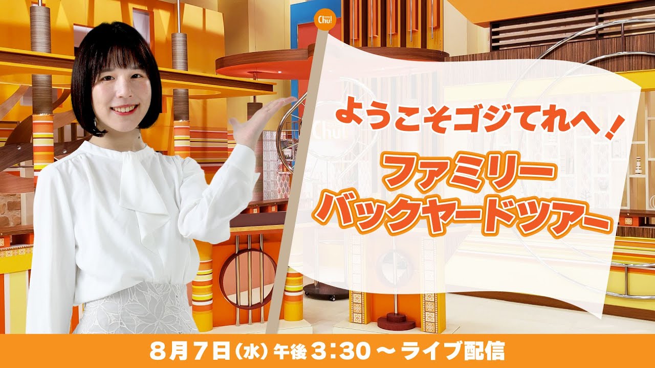 活動歴および当時の関連ビジュアル記録