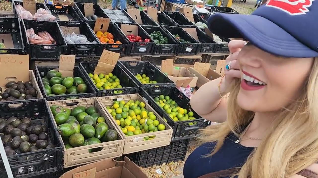 A WINDY Day at PLANT CITY FLEA MARKET! Plant City, FL