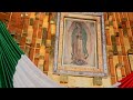 Hermosa Eucaristía Milagrosa Basílica Santa María de Guadalupe Santa Misa De Hoy Martes 25/01/2022
