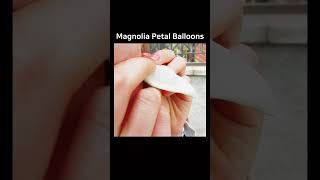 Magnolia petal ballons