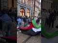 Pro-Israel protestors tear down Palestinian flag in Amsterdam