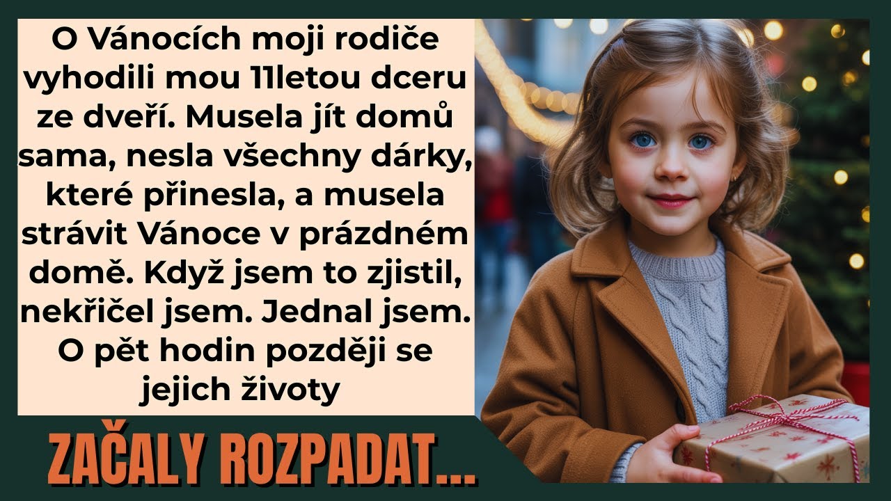 Moje jedenáctiletá dcera se na Štědrý večer vrátila domů sama. Seděla u kuchyňského stolu se spálenou pánví před sebou a snažila se udělat si vlastní Vánoce. „Odmítli mě," řekla tiše. „U...