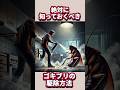 絶対に知っておくべきゴキブリの駆除方法#雑学