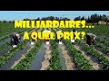 Oui lagriculture rend milliardaire mais ayez en tte ces 13 choses avant de vous lancer