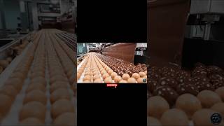 From Cocoa Beans to LUXURY Chocolate! (Satisfying) 🍫✨ #Shorts #HowItsMade #Chocolate