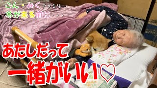 あたしだって一緒がいい♡　冬が来る前に・・・　秋田犬【ごん・みく チャンネル】