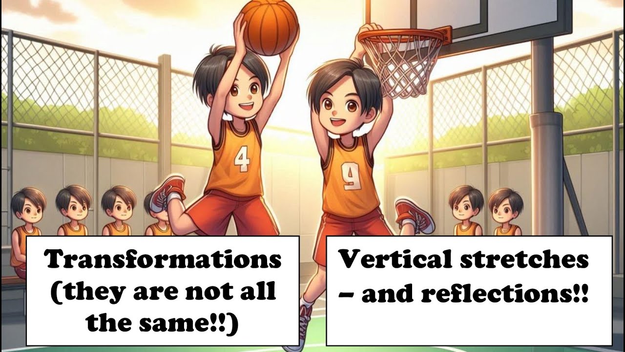 Vertical stretches and reflections over x axis