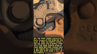 철도 CBC 커플러 작동 원리 #worker #process #railway #coupler #engineering