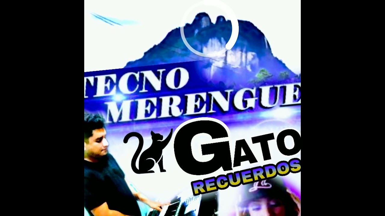 Recuerdos - Gato del merengue
