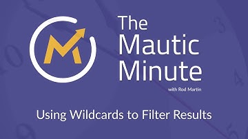 Using Wildcards to Filter Results