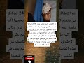 تم اكتشاف ماسة ضخمة بوزن 2492 قيراط ا في منجم كاروي في بوتسوانا مما تم اكتشاف ماسة ضخمة بوزن 2492 قيراط ا في منجم كاروي في بوتسوانا مما