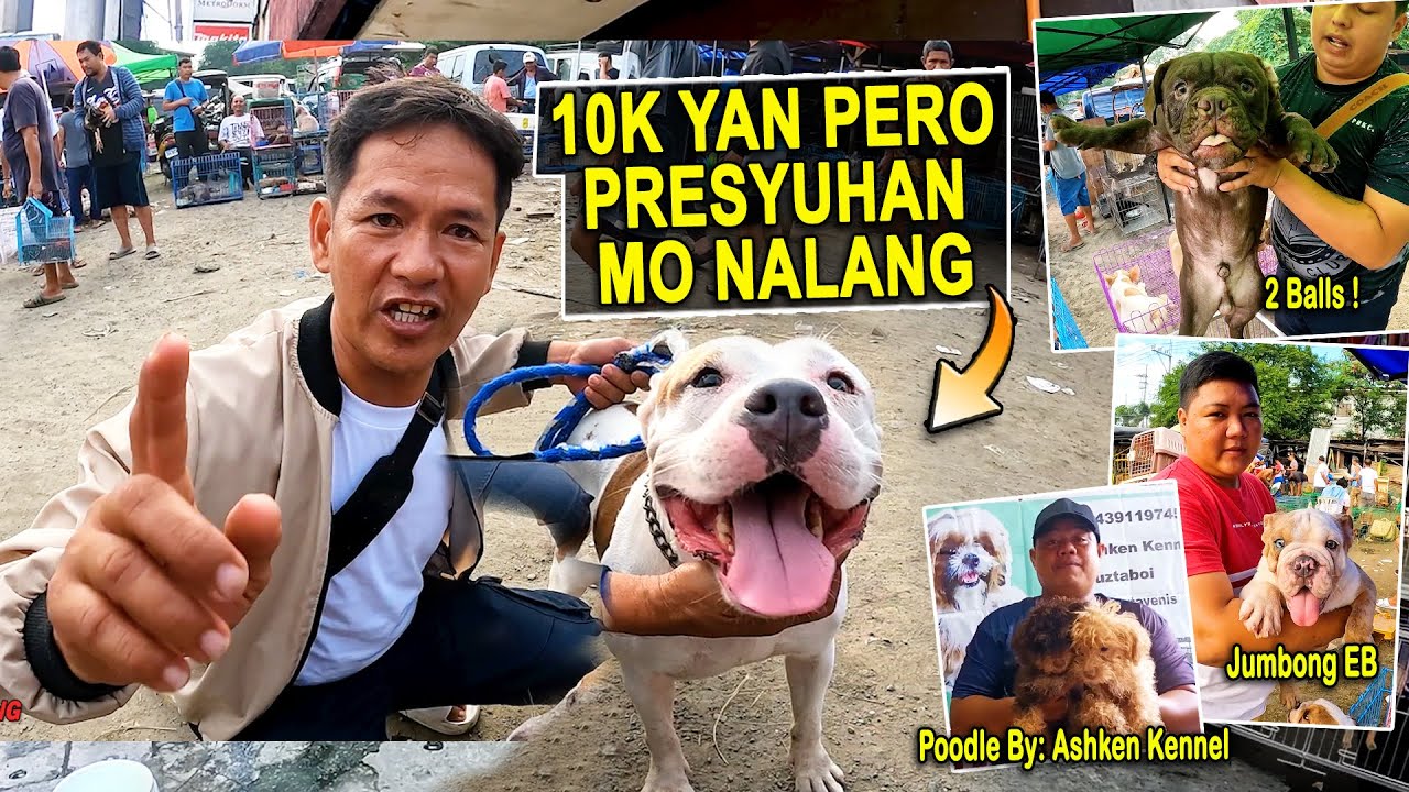 KAPAG GANITO ANG PRESYO NG MGA SELLERS ANG DAMING NAG-UUNAHAN / BOCAUE SCENE