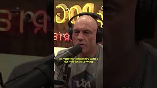 👀 US Navy pilots saw objects perfectly still in 140 MPH winds…  #podcast #jre