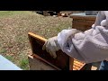 Beekeeping. Changing my hive back to a Single Brood Chamber.