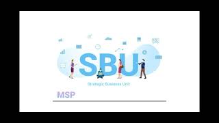 WHAT IS STRATEGIC BUSINESS UNIT ( SBU)