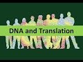 Protein Synthesis Concepts