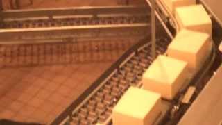 Inside the Tillamook Cheese factory