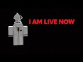 playing roblox with viewers