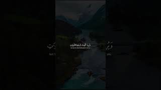 والله يريد ان يتوب عليكم ويريد الذين يتبعون الشهوات … طارق محمد