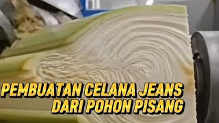 PEMBUATAN CELANA JEANS DARI POHON PISANG - Irfan Afrizal Martawijaya