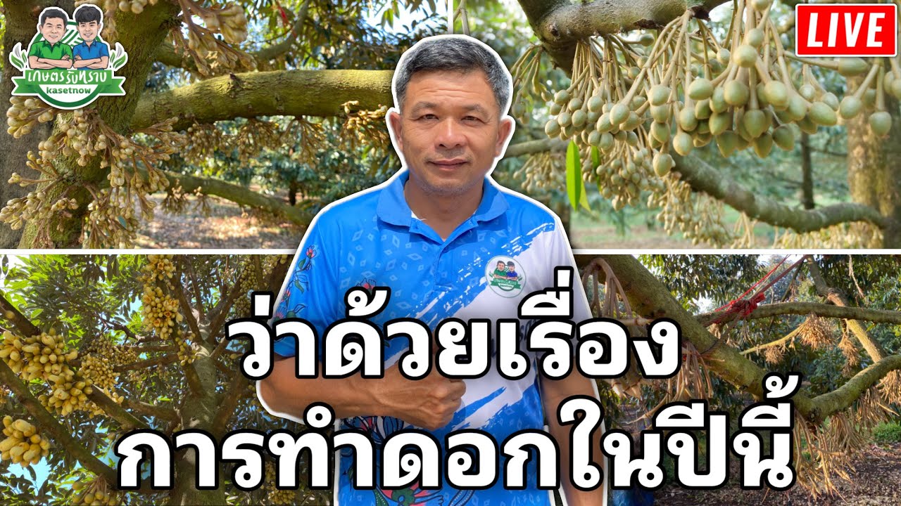 LIVE🔴ว่าด้วยเรื่องการทำดอกในปีนี้ วันที่ 29/09/2025