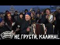 Играй, гармонь! | Трио «Свои люди» (Пенза-Брянск) | Не грусти, калина!..