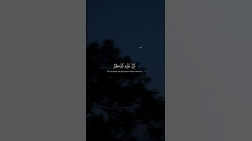 ﴿وَقَالُوا يَا أَيُّهَا الَّذِي﴾ | القارئ محمد صديق المنشاوي #قرآن #اكسبلور.