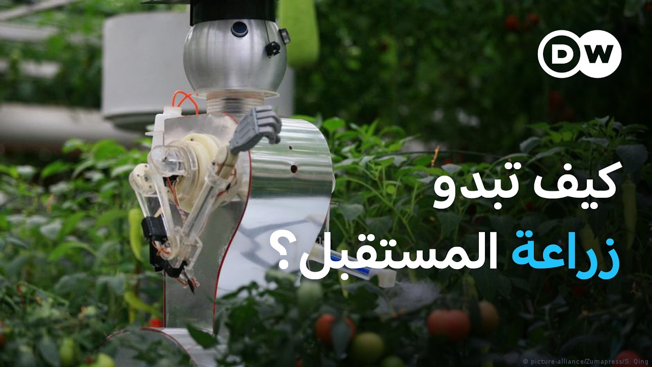 ������� ������: ��� ��������� ������� ������ �� ������ |����
 - نشر قبل 8 دقيقة