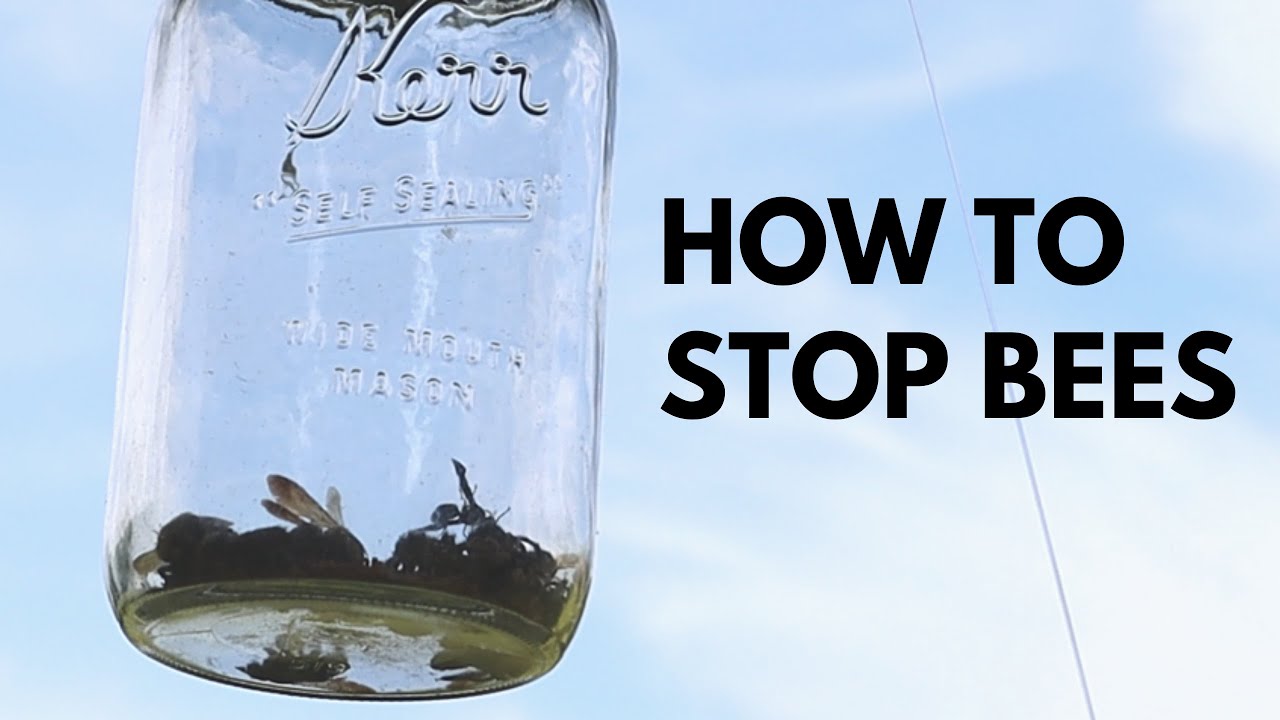 Homemade Bee Trap Carpenter Bees YouTube