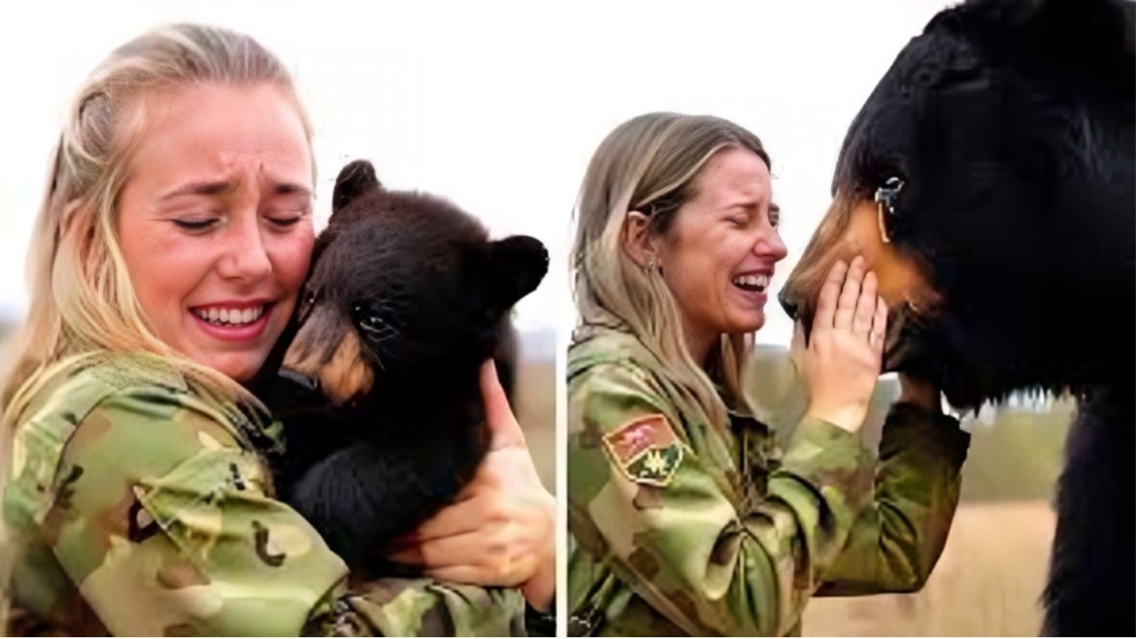 ŠŤASTNÉ setkání zvířat po letech s jejich páníčky.