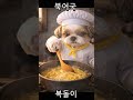 Bokdori’s Dried Pollack Soup 🍲 A Warm Bowl for the Morning 🐶