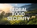 Impact Story: Global Food Security