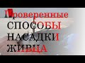 Как насаживать живца? Проверенные СПОСОБЫ НАСАДКИ ЖИВЦА на ХИЩНИКА.