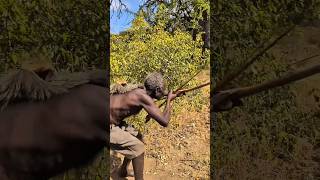 Adivasi deer hunting in the forest😱🦌#tribalculture #wildlife #adivasi #deer #jungle #junglelife
