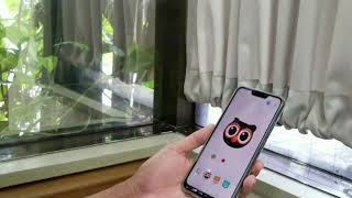 Asus Zenfone 5Ze620KlでZenimojiゼニモジを試す