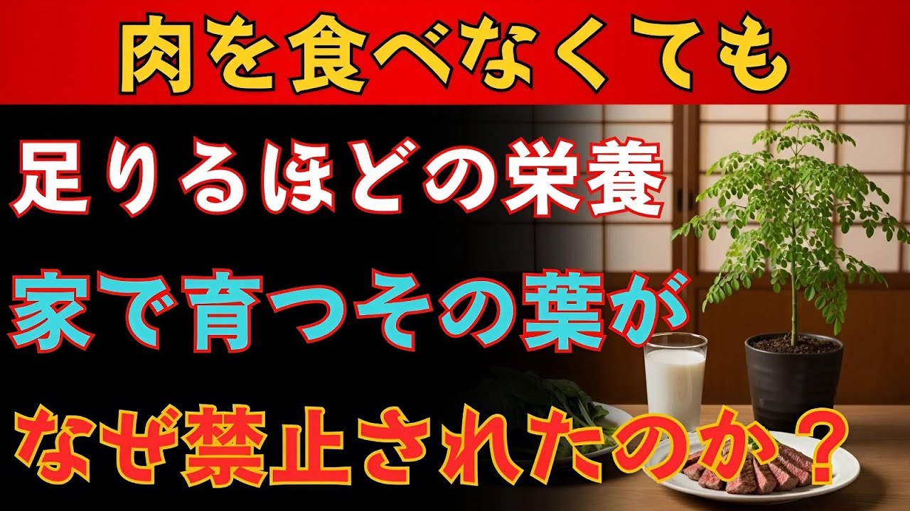 なぜこの植物は禁止されたのか。肉を超えるタンパク質を持ちながら雑草のように育ち、必須アミノ酸は九種類