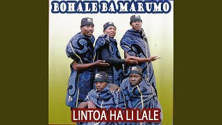 Khoti ea sehlaba