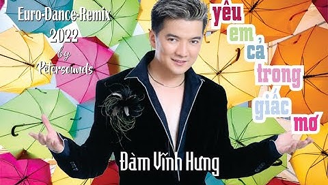 Yêu em cả trong giấc mơ - Remix 2022 - Đàm Vĩnh Hưng - Modern Talking Style - Euro Dance