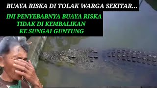 RISKA CROCODILE REJECTED BY GUNTUNG CITIZENS