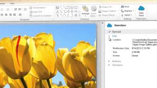 ShareSync: Outlook and Office integration features