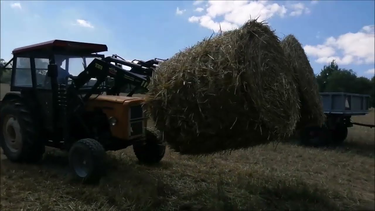 URSUS C-360 3P, 330 ZETOR 7745. Nowy Nabytek URSUS 1014. Oporowe podsumowanie Sezonu 2022.