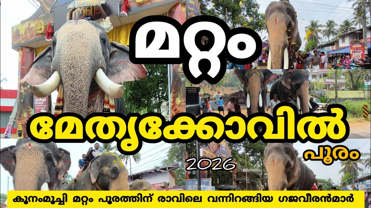 കൂനംമ്മൂച്ചി മറ്റം പൂരത്തിന് രാവിലെ വന്നിറങ്ങിയ ഗജവീരന്മാർ കേശവൻ ബാലൻ രാമൻ ചീരോത് രാജീവ് കാളി 